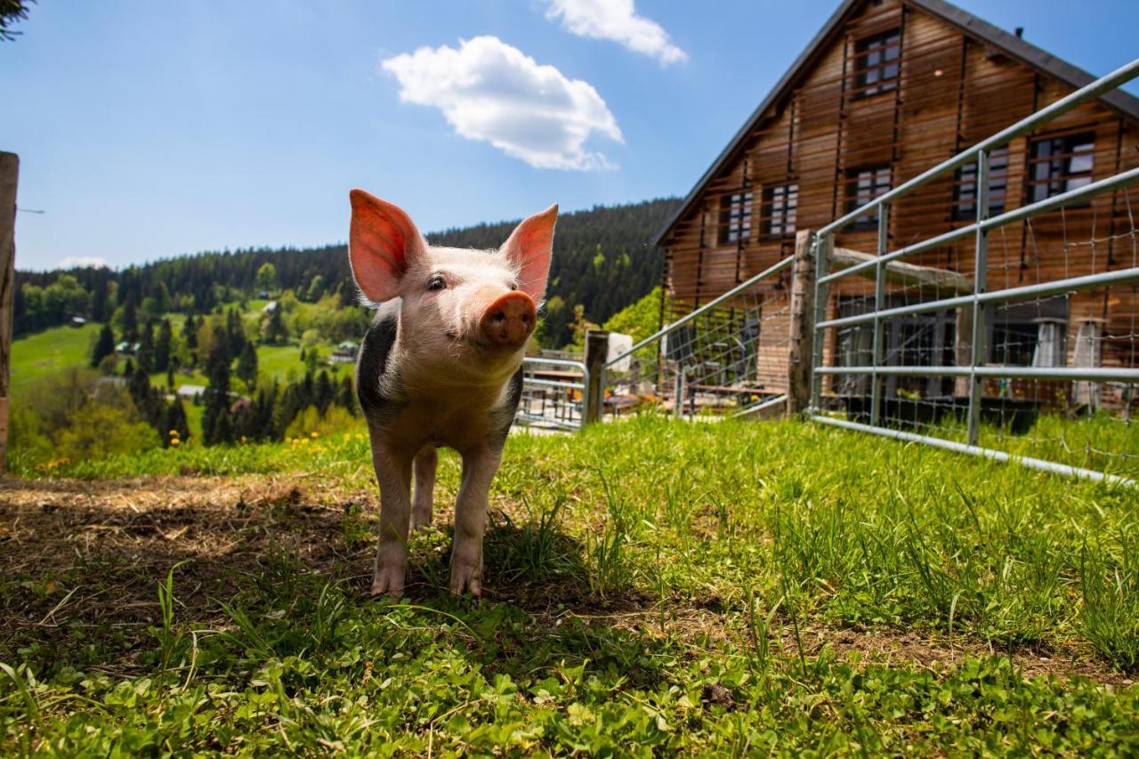 Amenity Hotel & Resort Špindlerŭv Mlýn Kültér fotó