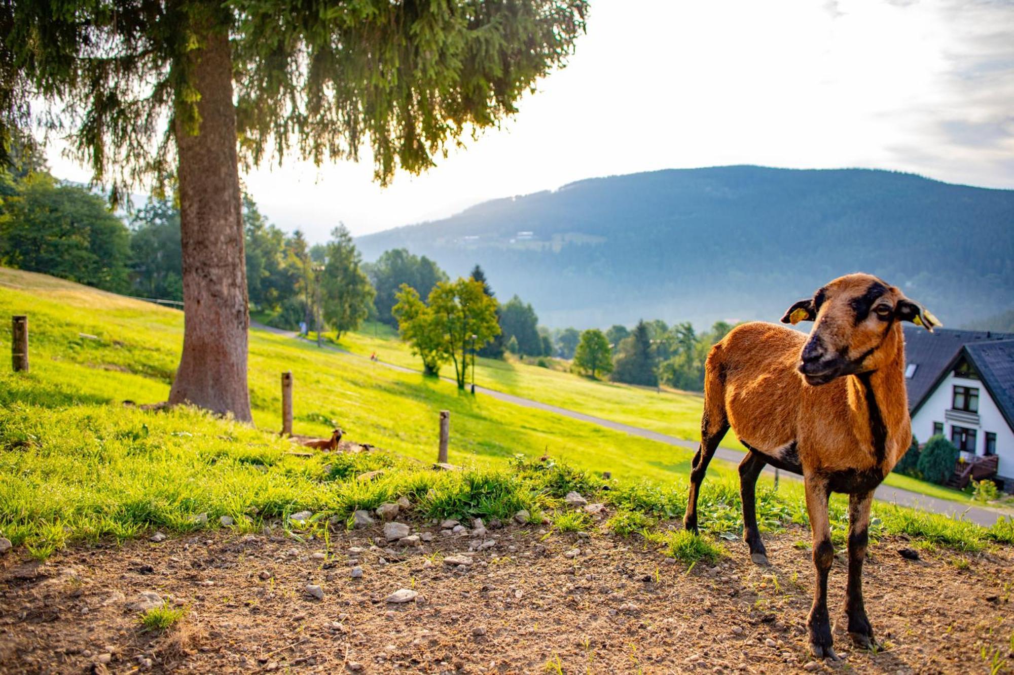 Amenity Hotel & Resort Špindlerŭv Mlýn Kültér fotó