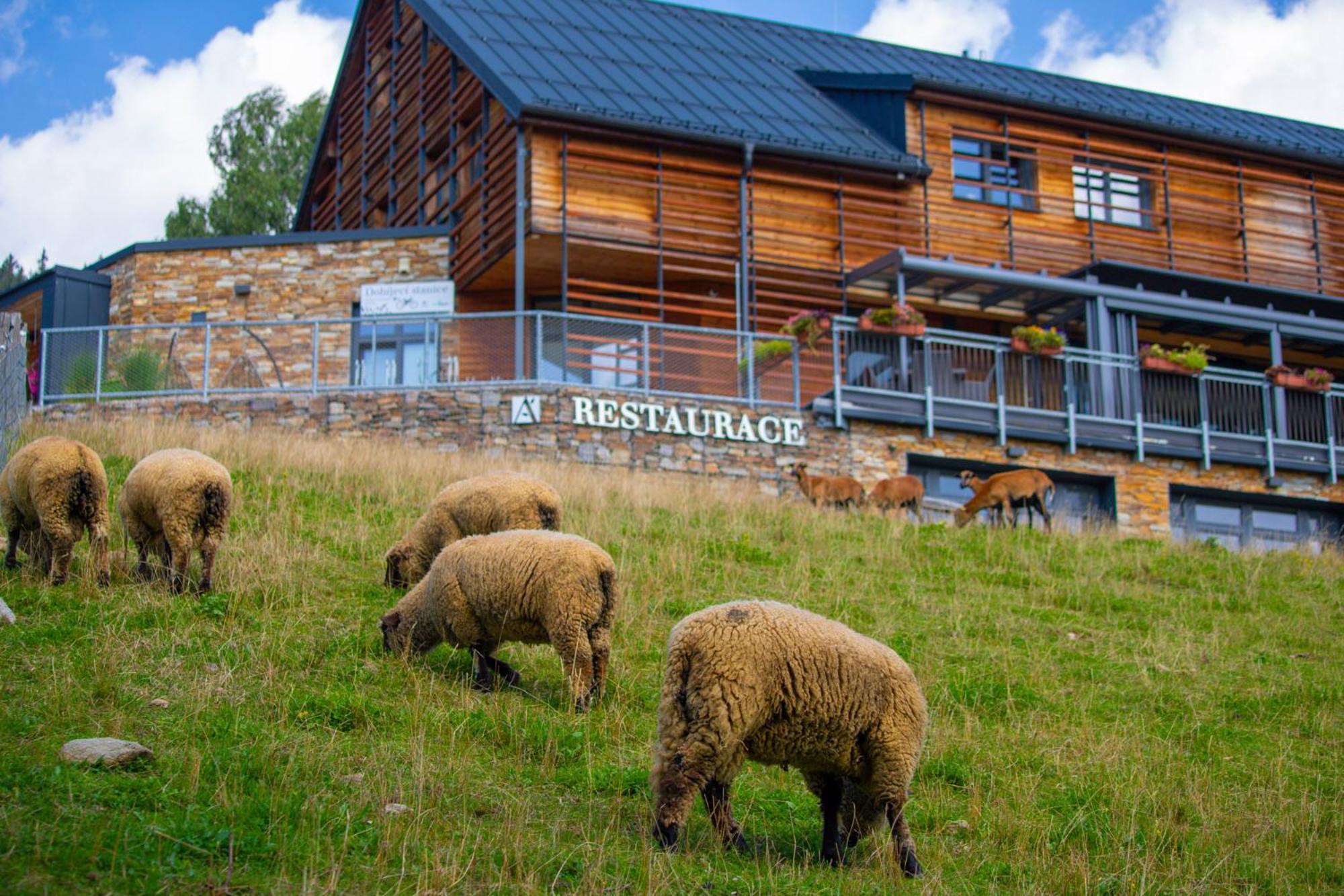 Amenity Hotel & Resort Špindlerŭv Mlýn Kültér fotó